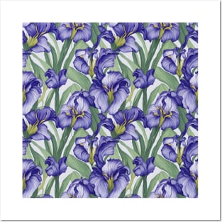 Floral Pattern Iris Flowers Posters and Art